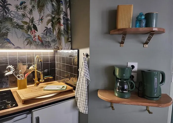 Apartman Ambiance Raffinee Coeur De *